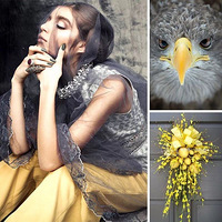 ��ʵ������������Ҽ�� | 98�O�ִ�����