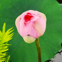 �����һ�ο��ɻ�������һ���Է��ĵط�