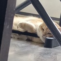 ������9�����ˣ���û�з��鼣����ô�죿������������