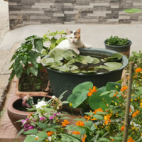 ˯������ ����������ſ�������Ҳ������