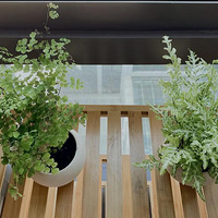 ��ާҶ��������