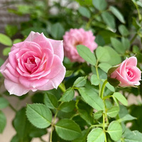 ����Ŀ��֣��¼�������