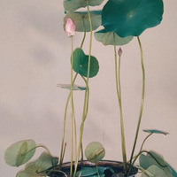 ���������Ҿ�Ȼ�÷����ĵ緹���ֻ�