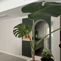 ˭��������ֲ���ᷨʽ̫���ˣ��Ҽ������������䶼��һ���Ƭ