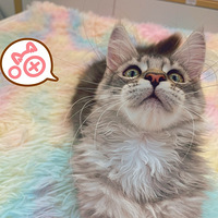 ��ֻ�������������ã��ÿɰ�ѽ