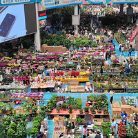 ǳ̽�������ϻ���