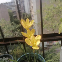 ������������