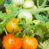 ����=���ռ�