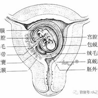 B鿴ʲô--ڳ