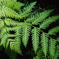 ��̫ϲ��ާ��