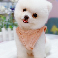 ��ë�����һ���Ŀ��鲩��