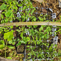 �������ֵ��ϹϷ������׻ƹϰ�