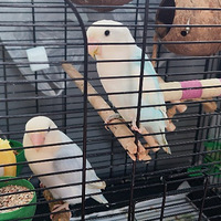 ��ĵ���������꣬���������Ŀӣ����ڱ��ҷ����񱦣�С����������