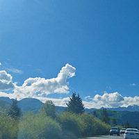 �ýŲ�ȥ�����������۾�ȥ��¼���Ŵ���ȫ�ݶ����̼ҿ�����ϵ�ң�