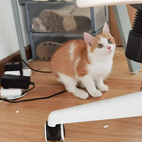 Сè���ҹ���ǰ��Դ�������������