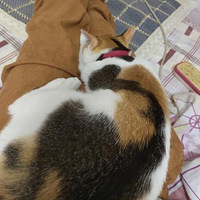 ���ǵ�����Ҳһ��Ҫ��������