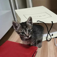 С��ս����̫���ر�ҧ����ô�죡