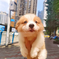 ���쳤ë�»�����ɿ�