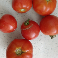 ����Ұ�������ķ��ѡ�����