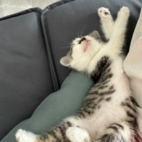 ��ô�����¾ͱ�����������