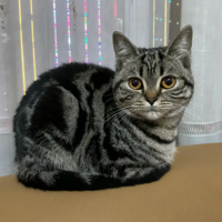 �Լ������ŵ��꣬��������˵������