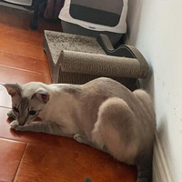 ��������̫������ô��