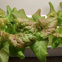 ��һ��֪����������ô��Ʒ��߹~����ʶ��