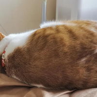 14���ƨ�ɴ���