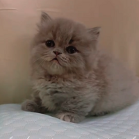 ����������˭�ҵĹ����ף���