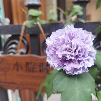 ����ũ��Ľ�ѹ����