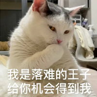 ȦΡ׸֮⡱ŷ𻪣ѡ