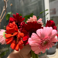 ���������ĺö໨��