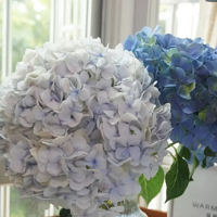 ����̫�ȣ�õ���Ǽۣ��Ǿ�תս�����