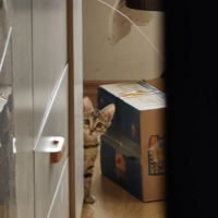 ��¼�ҳ���ʱ��èè