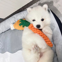 ΢Ц��ʹ-��ĦҮ