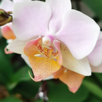 ��Ҳ��Ҫ�и��ط����ҵĺ�����