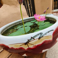 �����������ڿ����ˣ���¼һ��