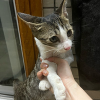 Сè�ܵ�������