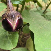 �ٺ� �ҵ�Сֲ����