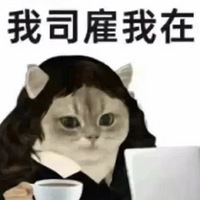 11Ҳھ¥µ꣬㶼Թļ