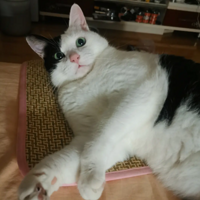 ɹɹ�ҵ���ţ����