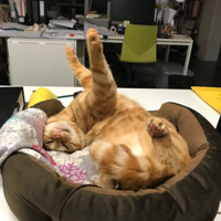 ����û�յ����ƹ��κ�����