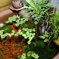 �˵����꣬�������㣬�ְ��ֽ��������