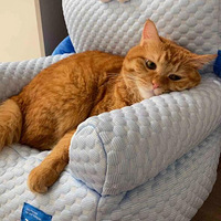 ��������Ҳ����ɳ����è�ˣ�zeze��ɳ��̫�ɰ���