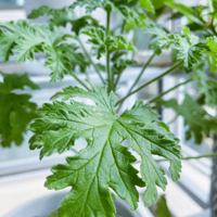 ��ӭ���ι��ҵ���̨Сɭ��