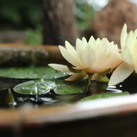 �ر��ر�ϲ���Ҽ�¶̨