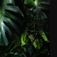 ����15ƽ���ⷿ�����ֲ�ǣ���������ģ����������Ŷ