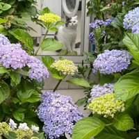 ÿ�����ʱ������԰����������ĵط�