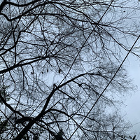 ĩƽɽȪ