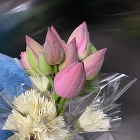 �ɻ����Ҳ̫���˰�